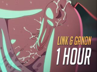 Link & Ganon ANIMATION  HOUR LOOP VERSION
